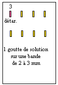 Test au papier pH